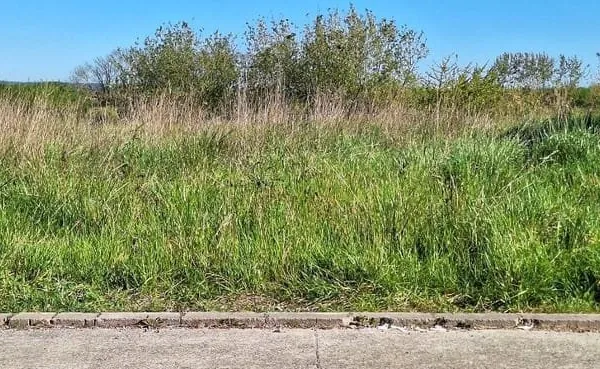 Terrain 401 m²