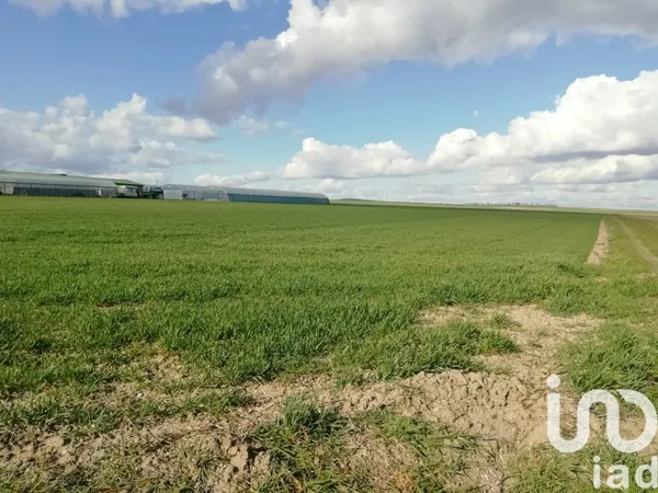 Terrain 1599 m²