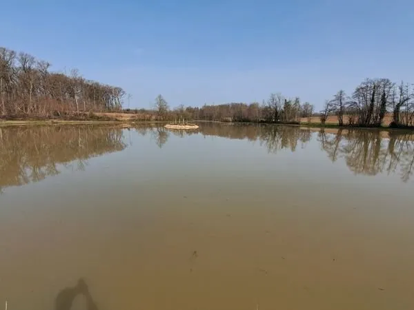 Plan d'eau Vente Branges  36100m² 100000€
