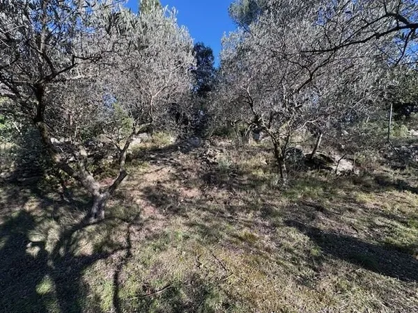 Terrain en colline proche du centre.