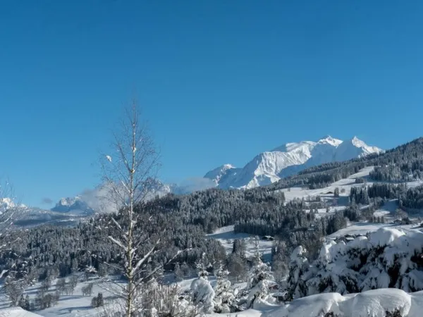 Terrain avec vues dégagées sur le massif du Mont-Blanc