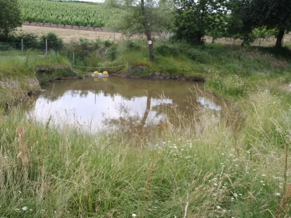 Terrain d'Exception à Saint-Palais (33820) - 9 157 m²