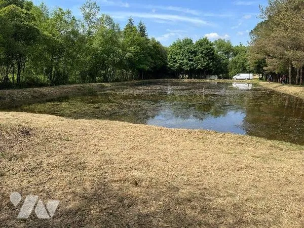 Terrain 12190 m²