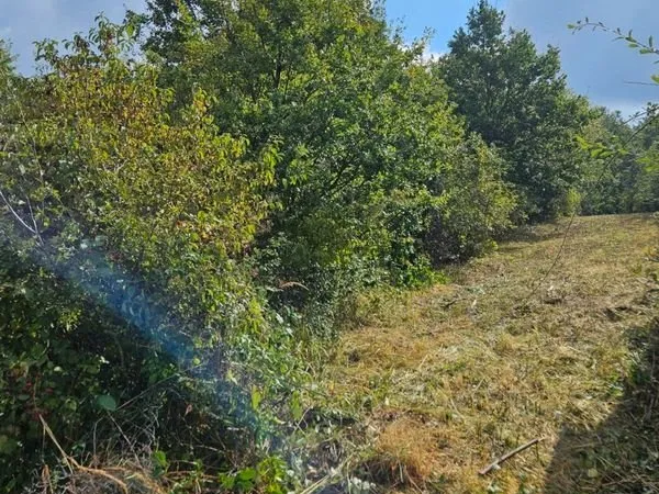 Terrain 990m2 domerat