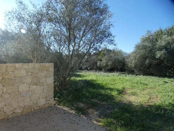 Terrain 1341 m²