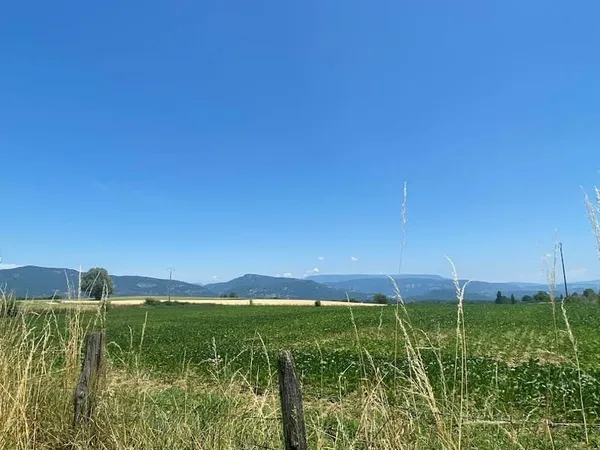Viager 7 pièces 200 m²