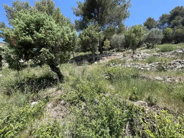 TERRAIN CONSTRUTIBLE 2 452 M2