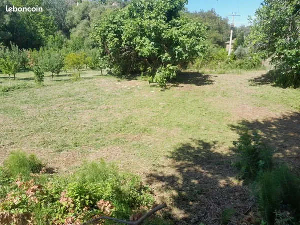 Terrain Constructible
