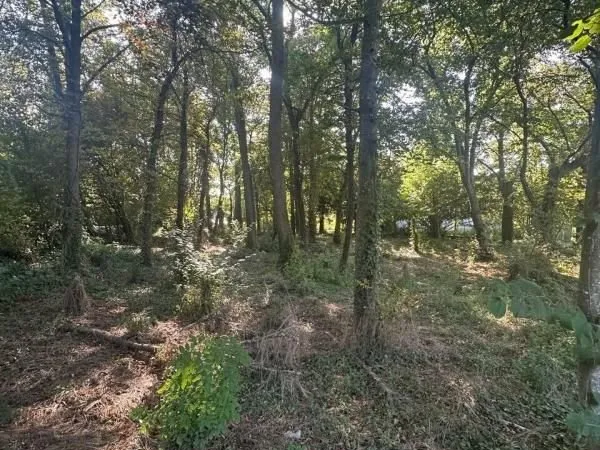 Terrain 1 227 m² Orcet