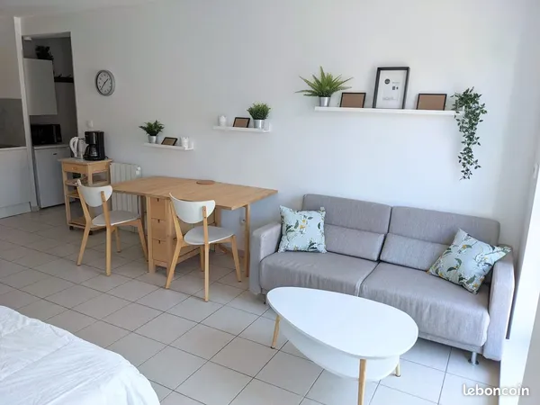 Studio meublé Strasbourg centre proche gare 30m2 625 et 30 de charges