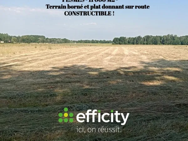 Terrain 11000 m²