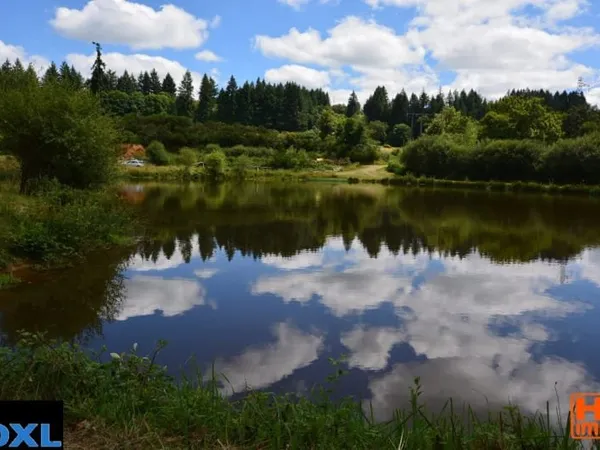 Terrain 5500 m²