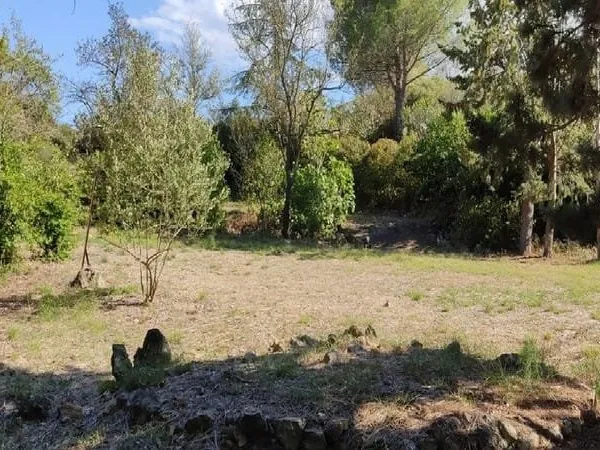 Terrain 890 m²