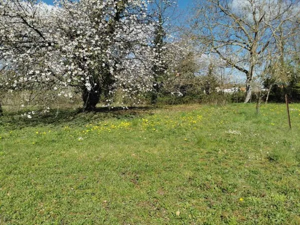 Terrain 619 m²