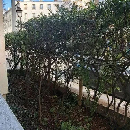 Studio 1 pièce 39 m²