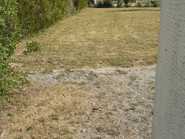 Terrain à bâtir