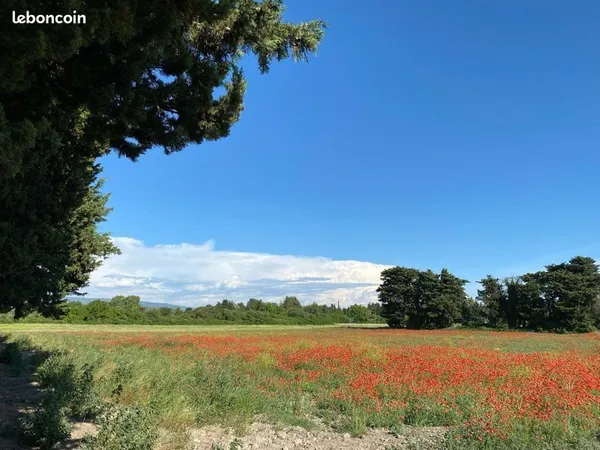 Terrain agricole ou loisirs