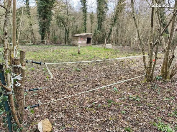 Loue terrain clôturé avec Boxe de 9m² pour chevaux accès direct sur GR1