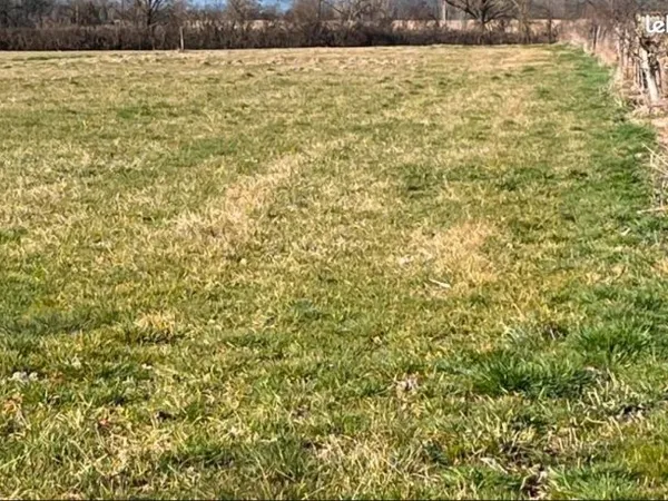 Terrain 2.000m2