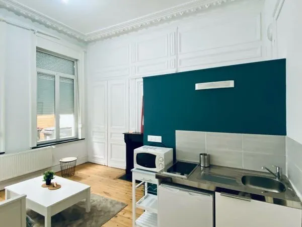 Loue Studio meublé, 20m2, rue du Maire André 59000 Lille