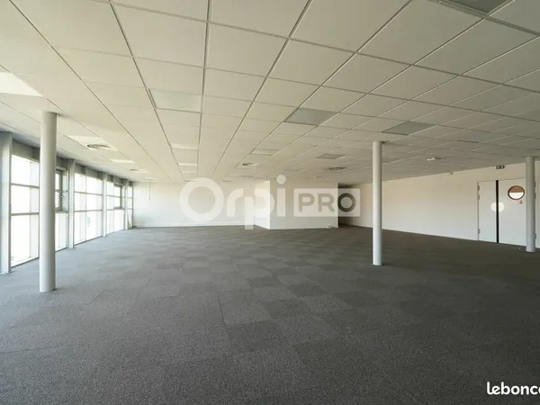 Bureau 116 m²