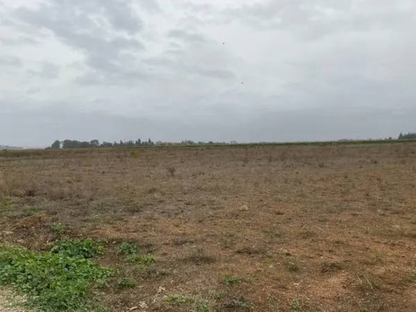 Terrain 267 m²