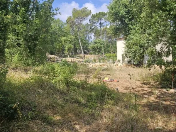 Terrain 2877 m²