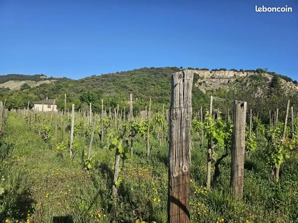 Terrain 526 m² Cornas