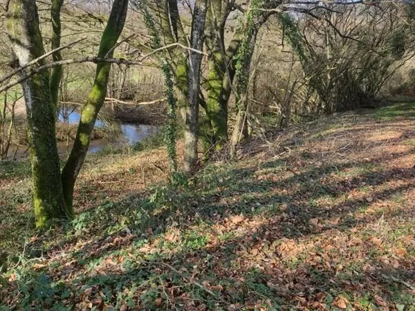 Terrain chasse
