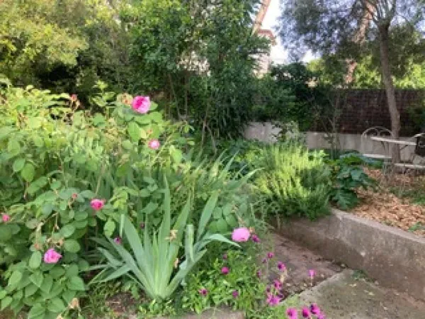 Sete maison de plain pied en viager occupé plein sud à mi hauteur sur le mont saint clair proche mer
