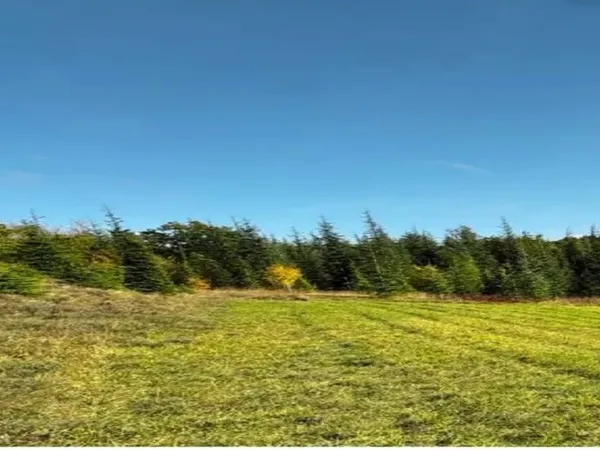 Terrain 890 m²