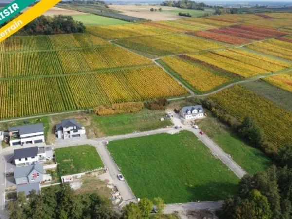 Terrain 656 m²