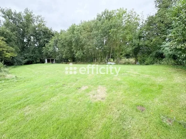 Terrain 2377 m²
