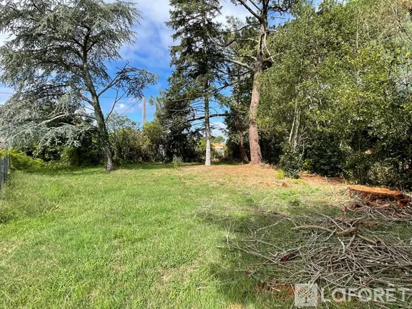 Terrain 817 m²