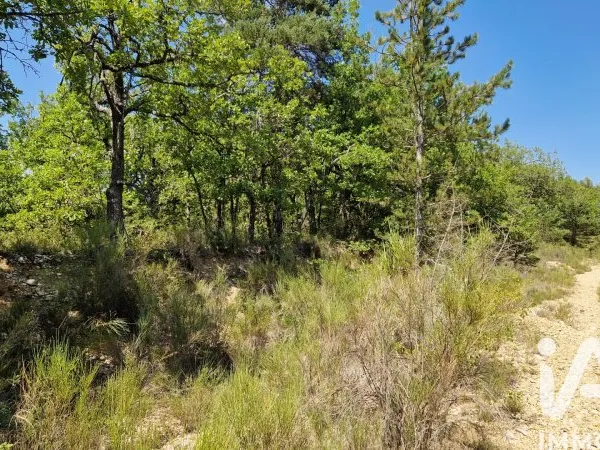 Terrain 3930 m²