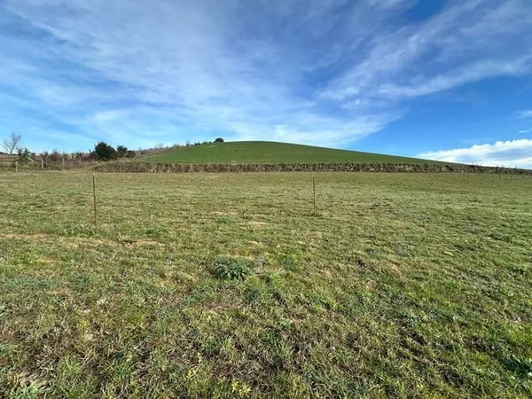 Terrain 1231 m²