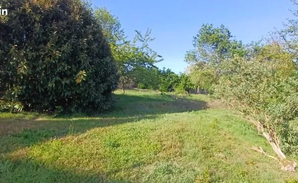 Terrain constructible