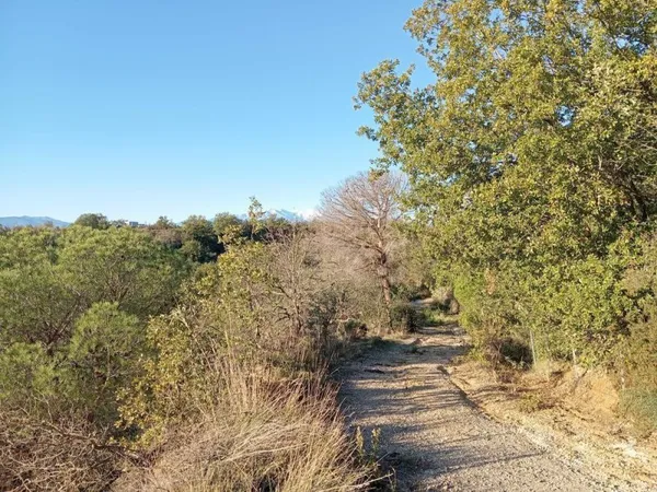 Terrain agricole avec hangar de 350m2