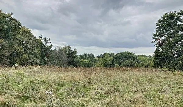 Terrain 2979 m²