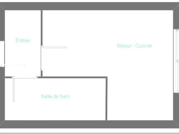 Appartement 1 pièce 20 m²