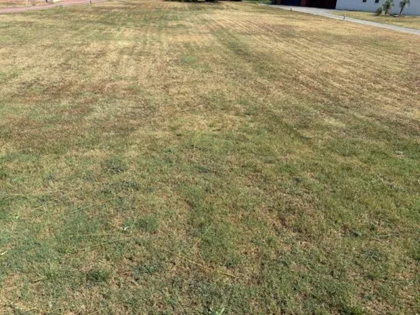 Terrain 643 m²