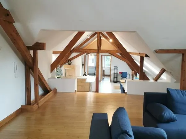 ✨ LOFT D'EXCEPTION 6 PIÈCES - 160 m² AU SOL - ZILLISHEIM CENTRE ✨