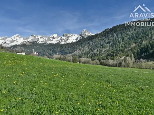 Terrain à bâtir avec beau potentiel
