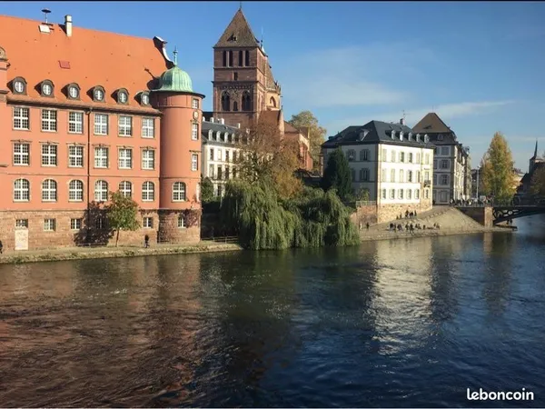 ✨ Studio Cosy avec Vue Exceptionnelle-Coeur de Strasbourg ✨