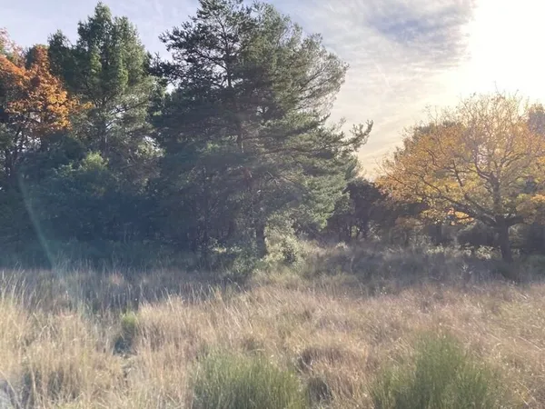 TERRAIN À BÂTIR 2 610 m² - CADRE EXCEPTIONNEL - Baudinard-sur-Verdon