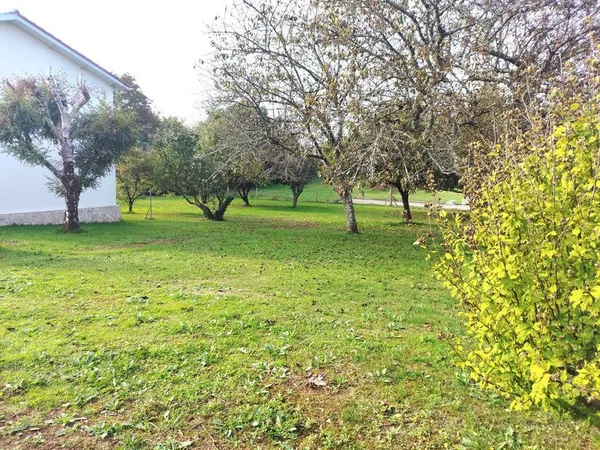 Maison T4 de 96 m² avec garage et grand terrain - Saint-Germain-de-Lusignan