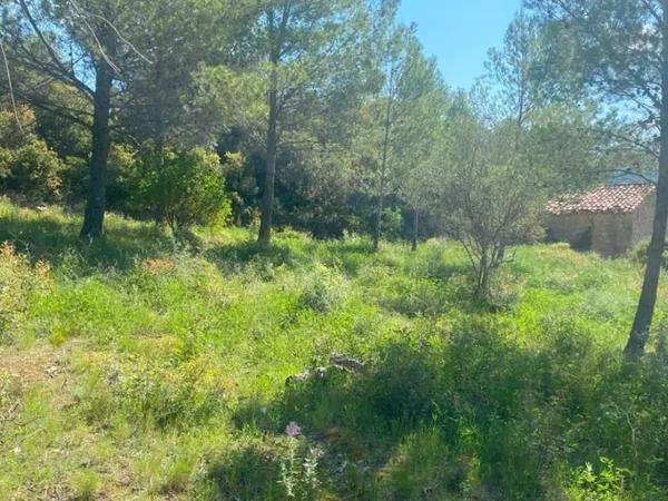 Terrain 1790 m²
