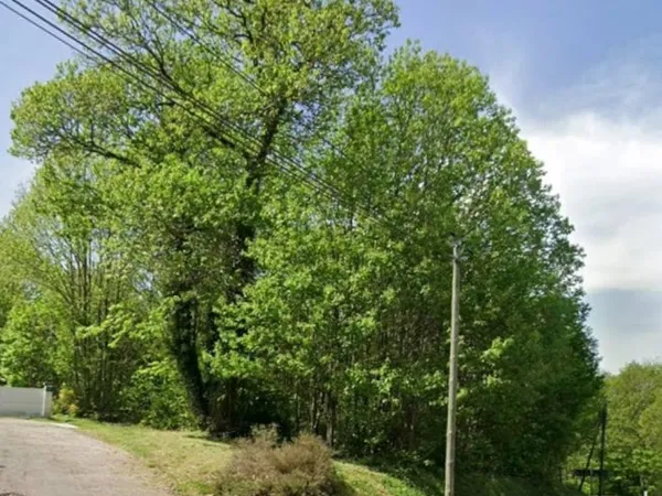 Terrain 4817 m²