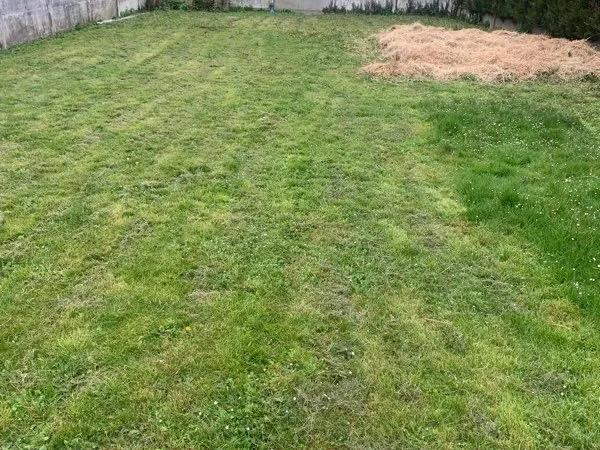 Terrain 283 m2
