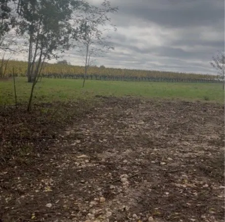 Terrain 5000 m²
